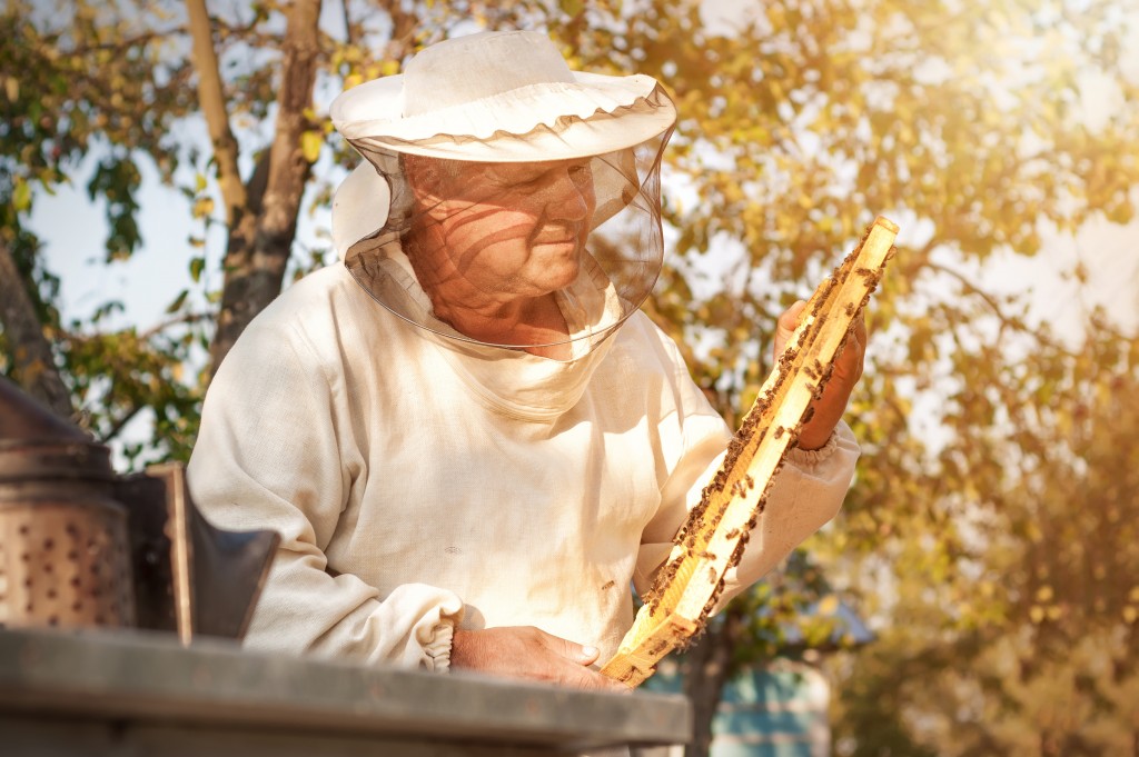 Beekeeper working