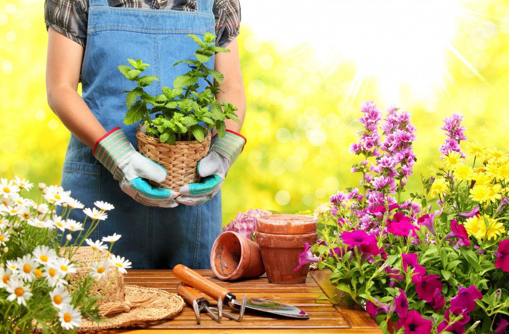 woman in overalls and gloves holding basket of plants with pots of flowers in the wooden table outdoors